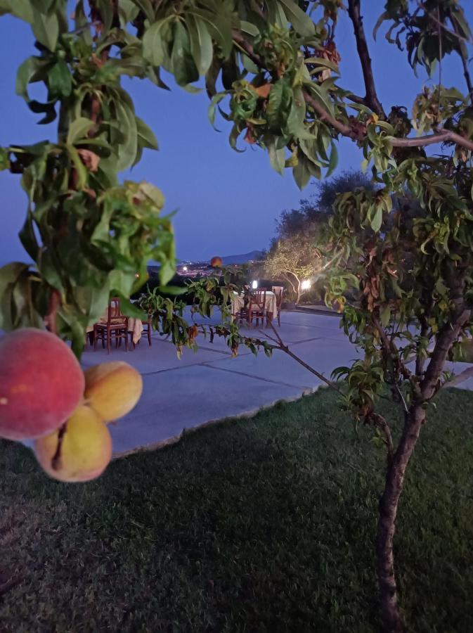 Hotel Lu Baroni 布多尼 外观 照片